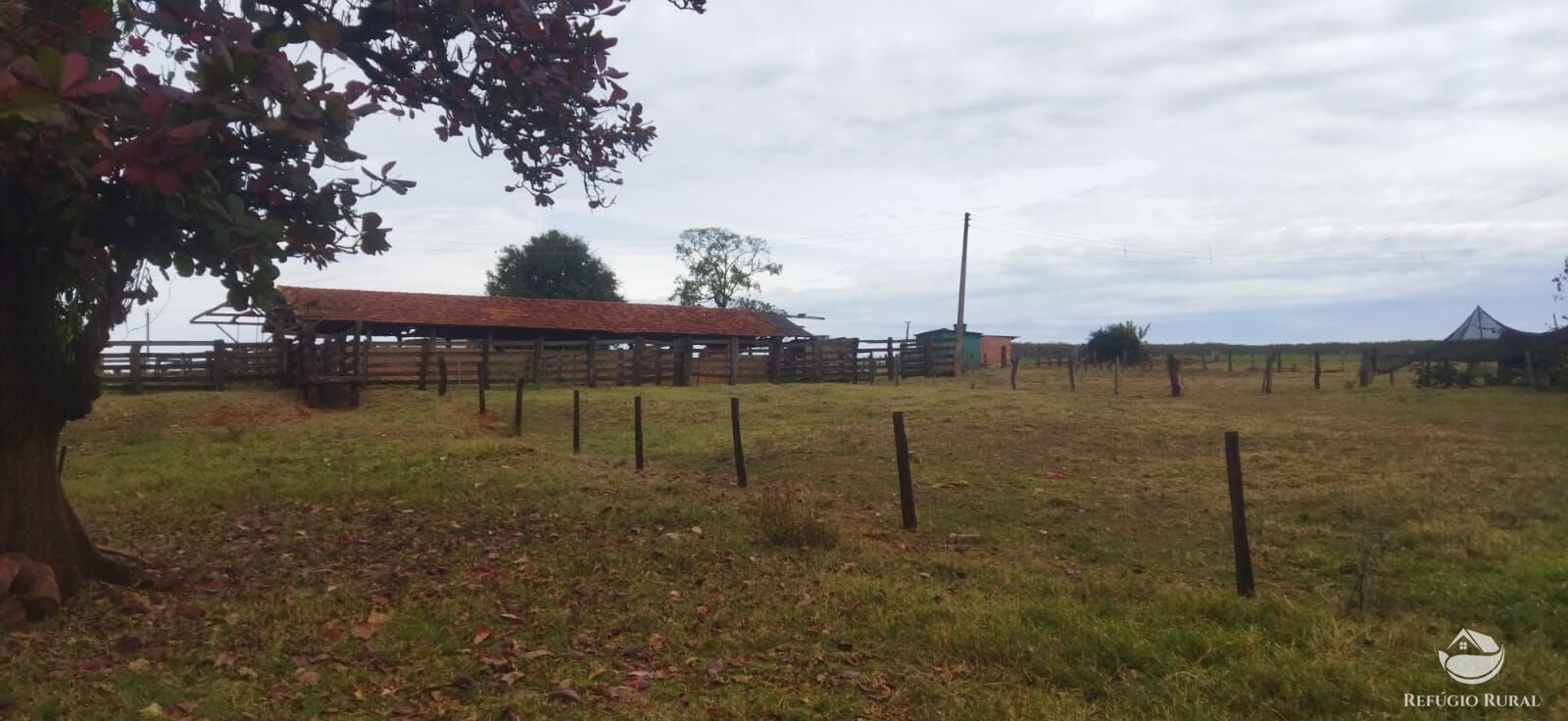 Fazenda em Frutal/Minas Gerais — Ref XDB6GF — Imagem 19