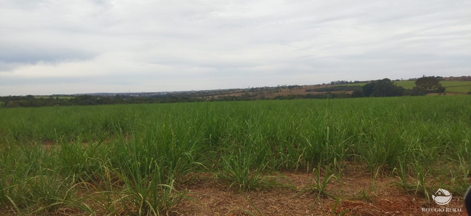 Imóvel rural em Frutal/Minas Gerais — Ref XDB6GF1