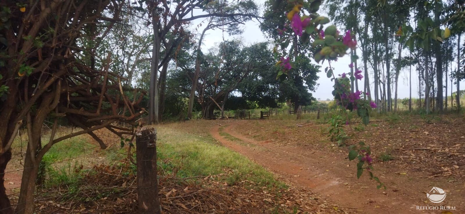 Fazenda em Frutal/Minas Gerais — Ref XDB6GF — Imagem 26