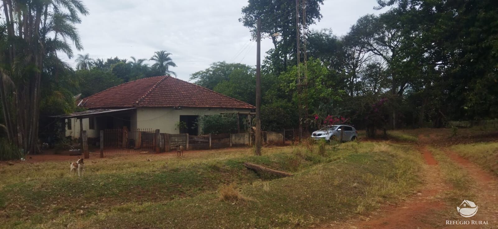 Fazenda, 143264 hectares - Foto 1