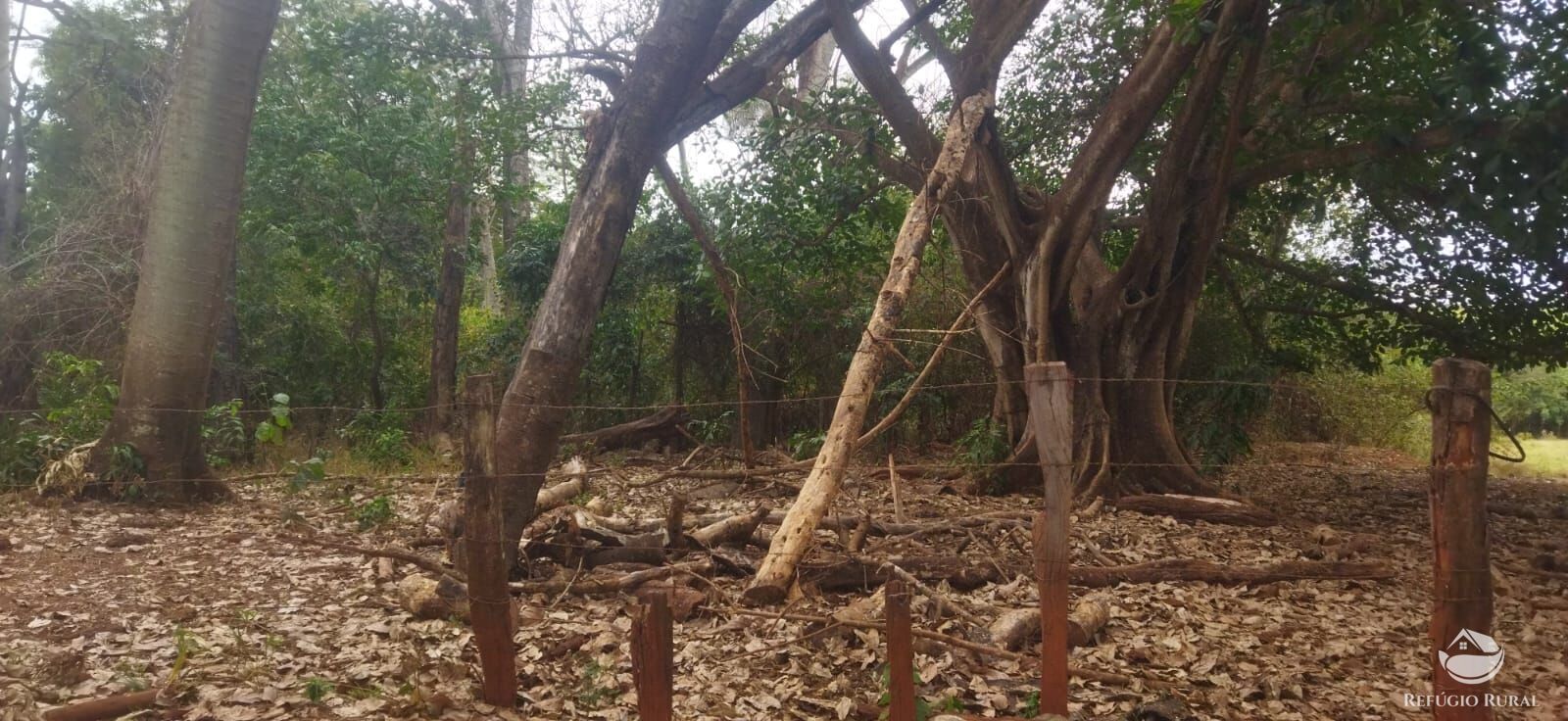 Fazenda em Frutal/Minas Gerais — Ref XDB6GF — Imagem 35