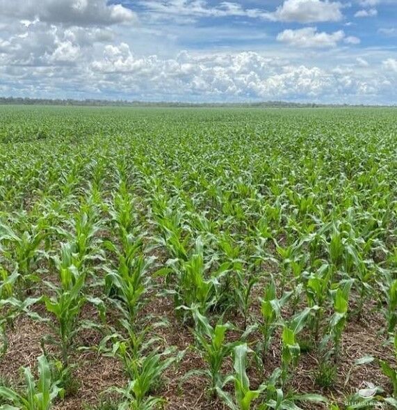 Fazenda à venda com 2 quartos, 28000000m² - Foto 8