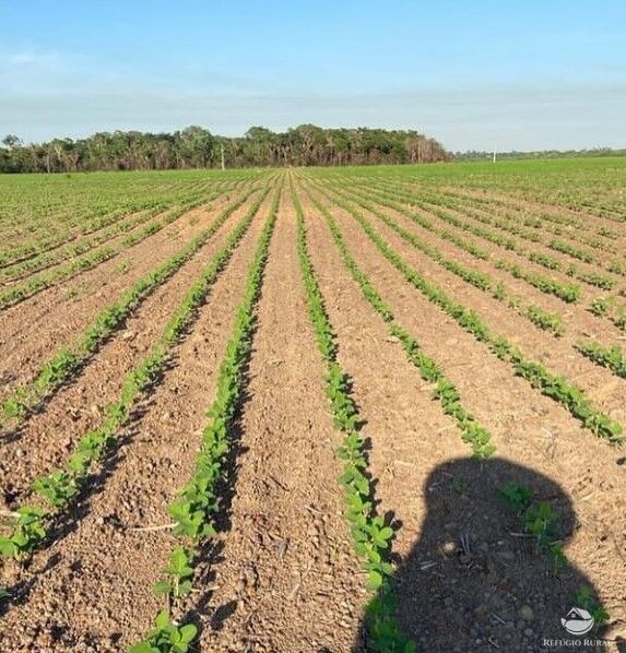 Fazenda à venda com 2 quartos, 28000000m² - Foto 2