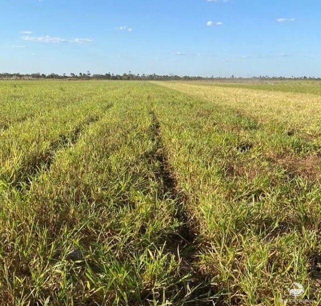 Fazenda à venda com 2 quartos, 28000000m² - Foto 9