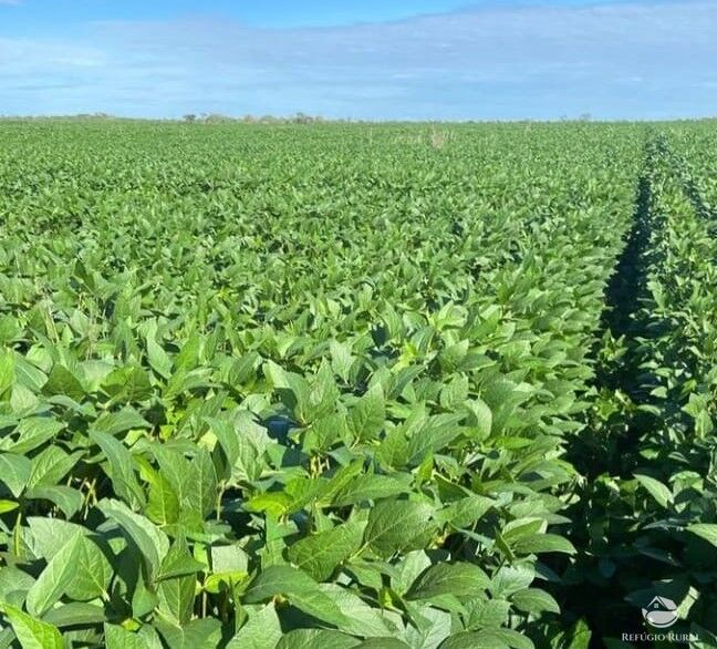 Fazenda à venda com 2 quartos, 28000000m² - Foto 1