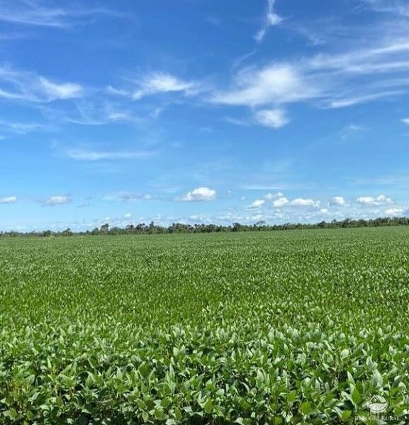 Fazenda à venda com 2 quartos, 28000000m² - Foto 3