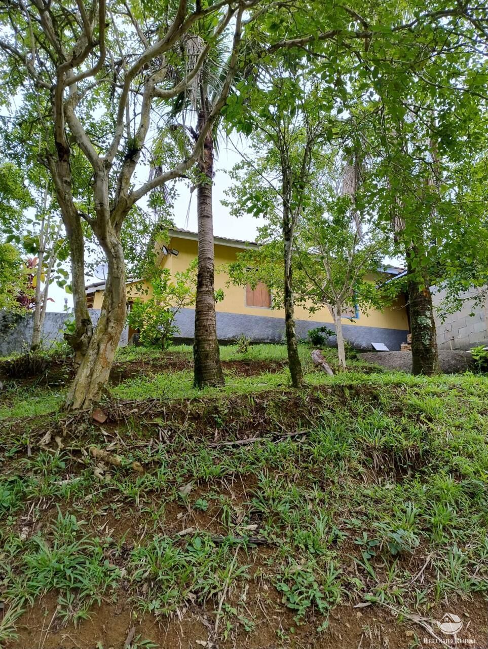 Fazenda à venda com 3 quartos, 20000m² - Foto 4