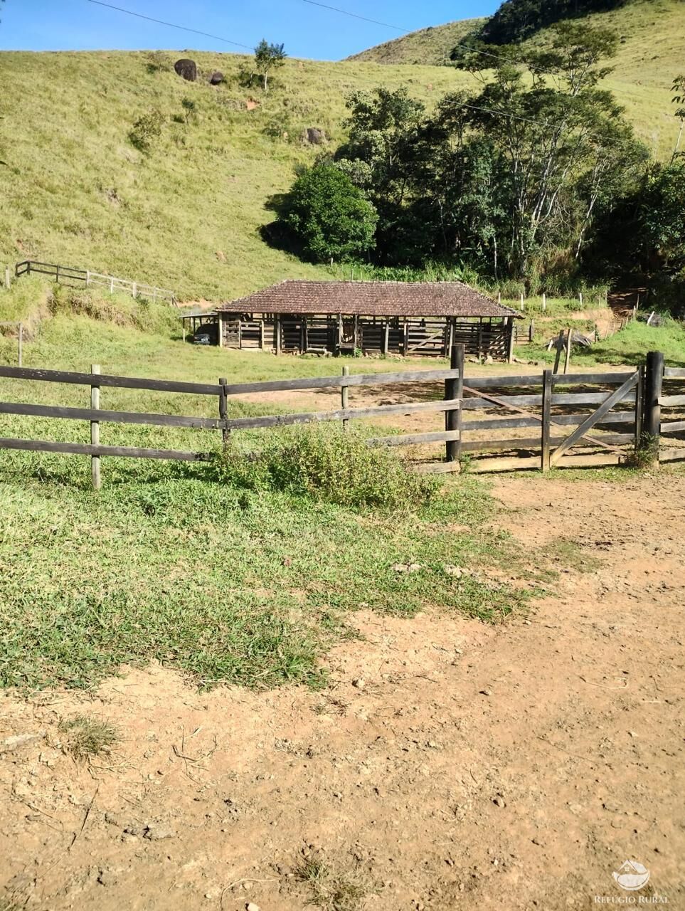 Fazenda à venda com 3 quartos, 20000m² - Foto 7