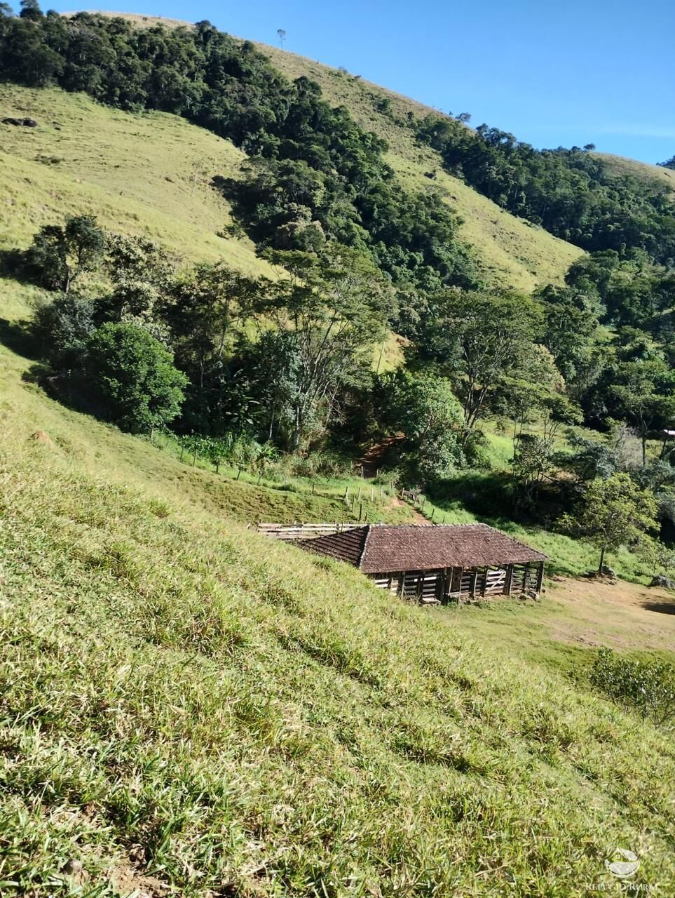 Fazenda à venda com 3 quartos, 20000m² - Foto 9