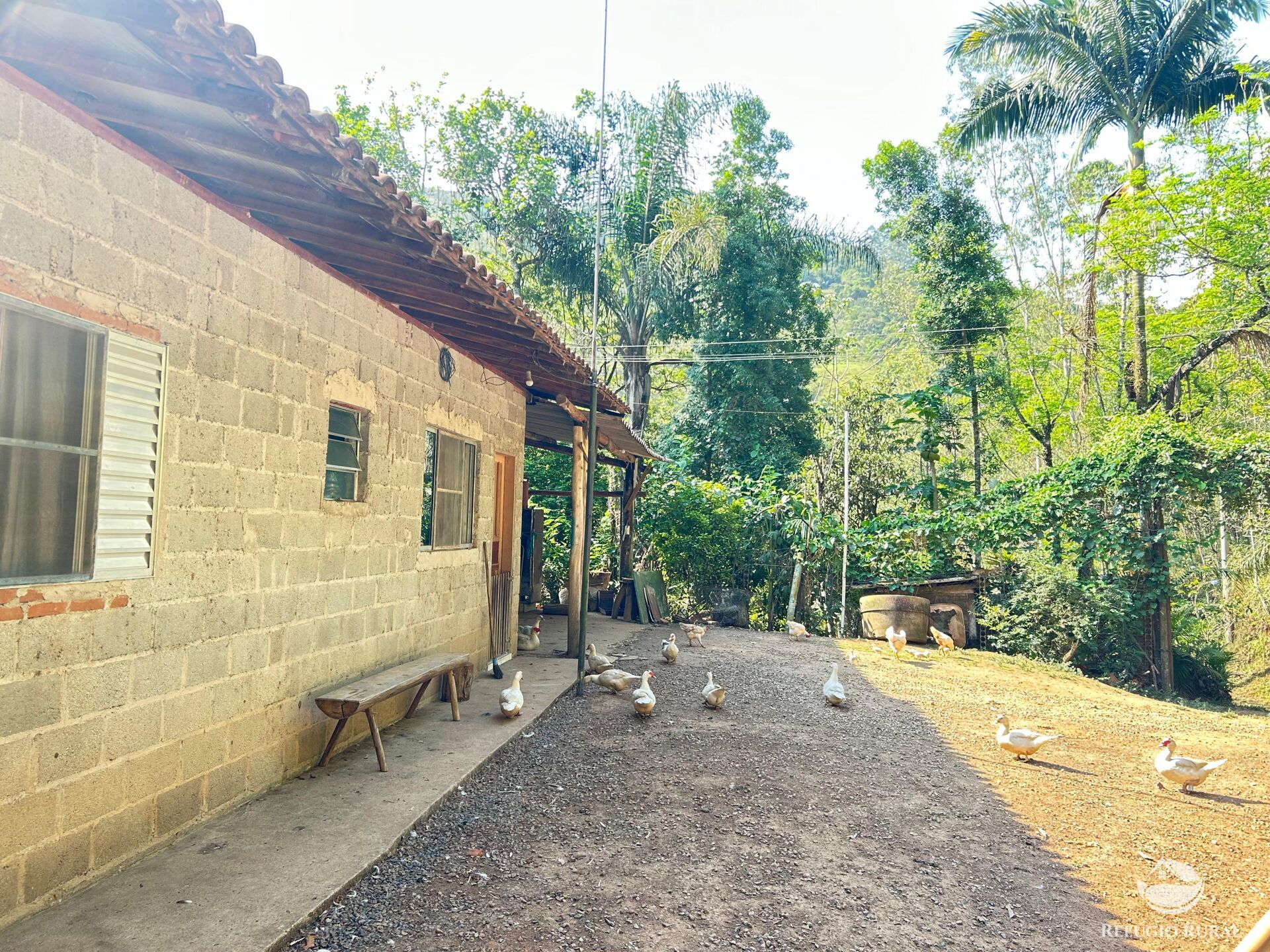 Fazenda à venda com 3 quartos, 20000m² - Foto 49