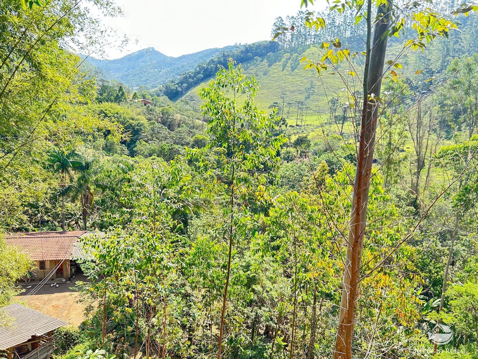 Fazenda à venda com 3 quartos, 20000m² - Foto 7