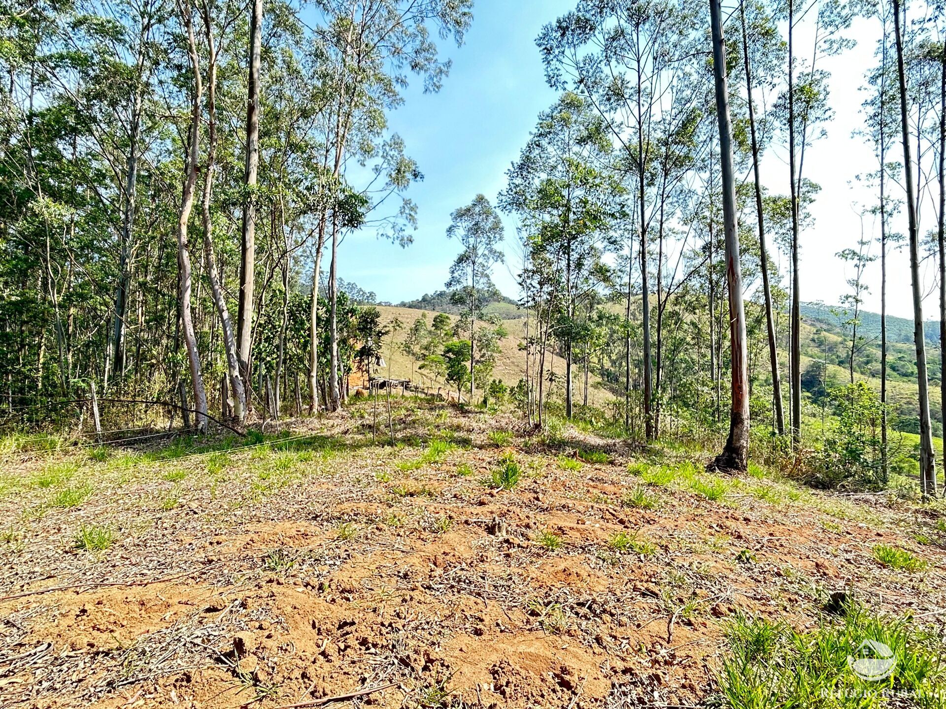 Fazenda à venda com 3 quartos, 20000m² - Foto 9