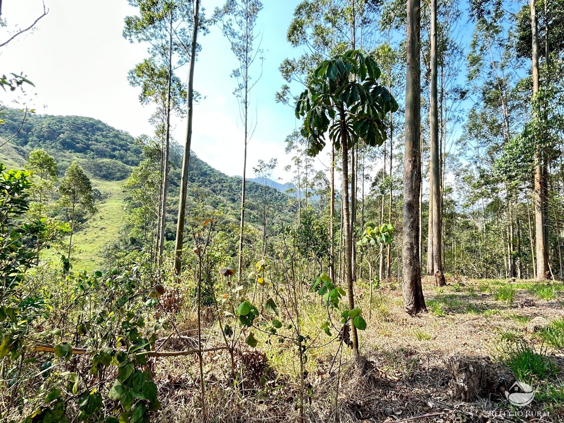 Fazenda à venda com 3 quartos, 20000m² - Foto 26