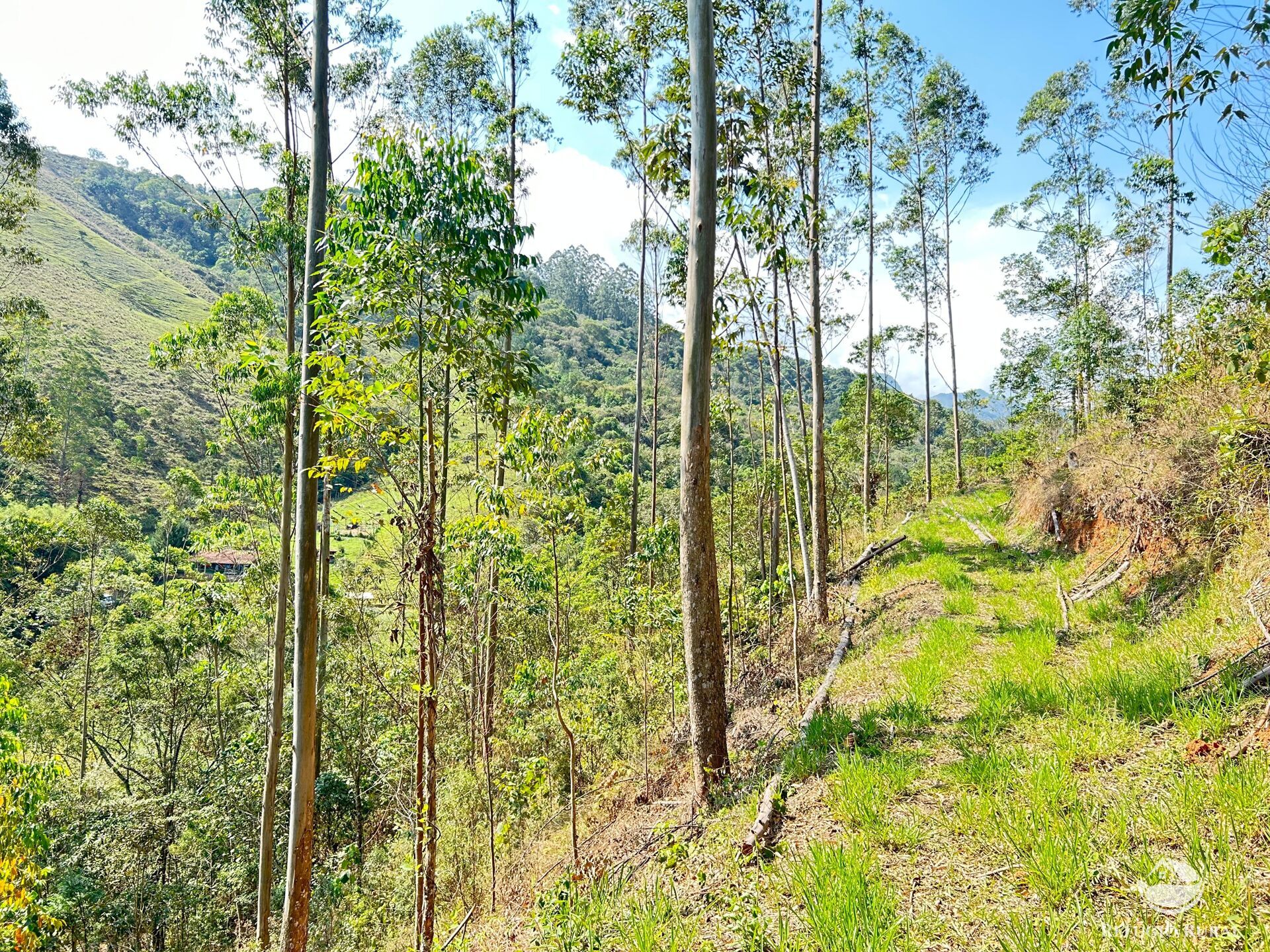 Fazenda à venda com 3 quartos, 20000m² - Foto 3