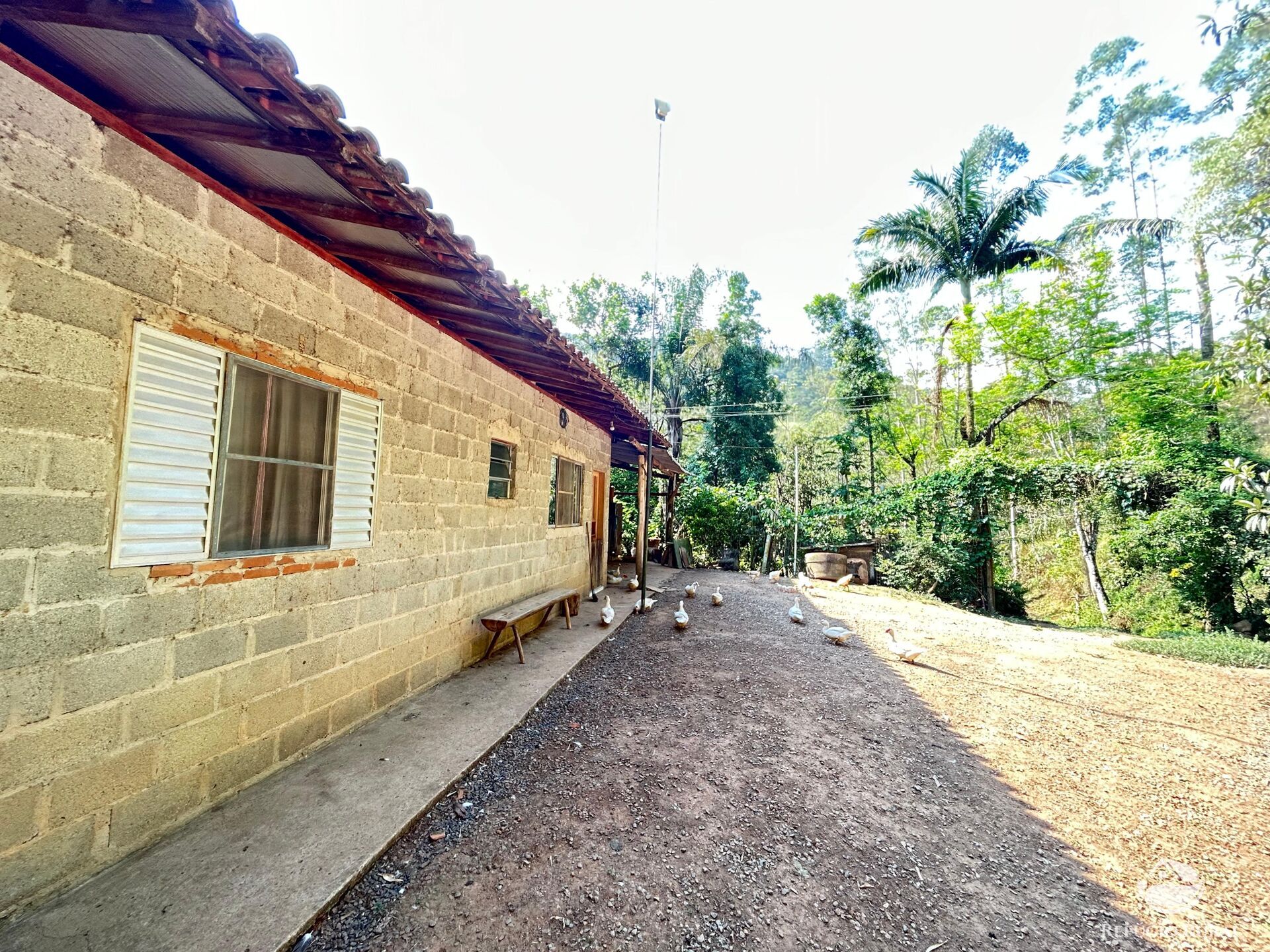 Fazenda à venda com 3 quartos, 20000m² - Foto 50