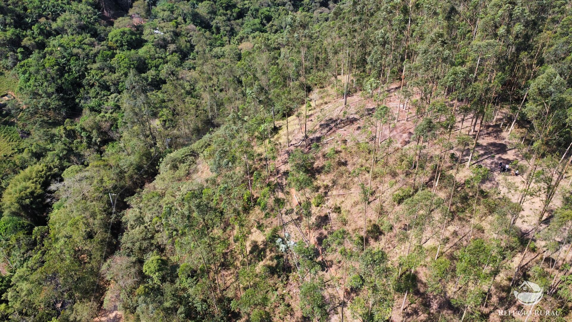 Fazenda à venda com 3 quartos, 20000m² - Foto 30