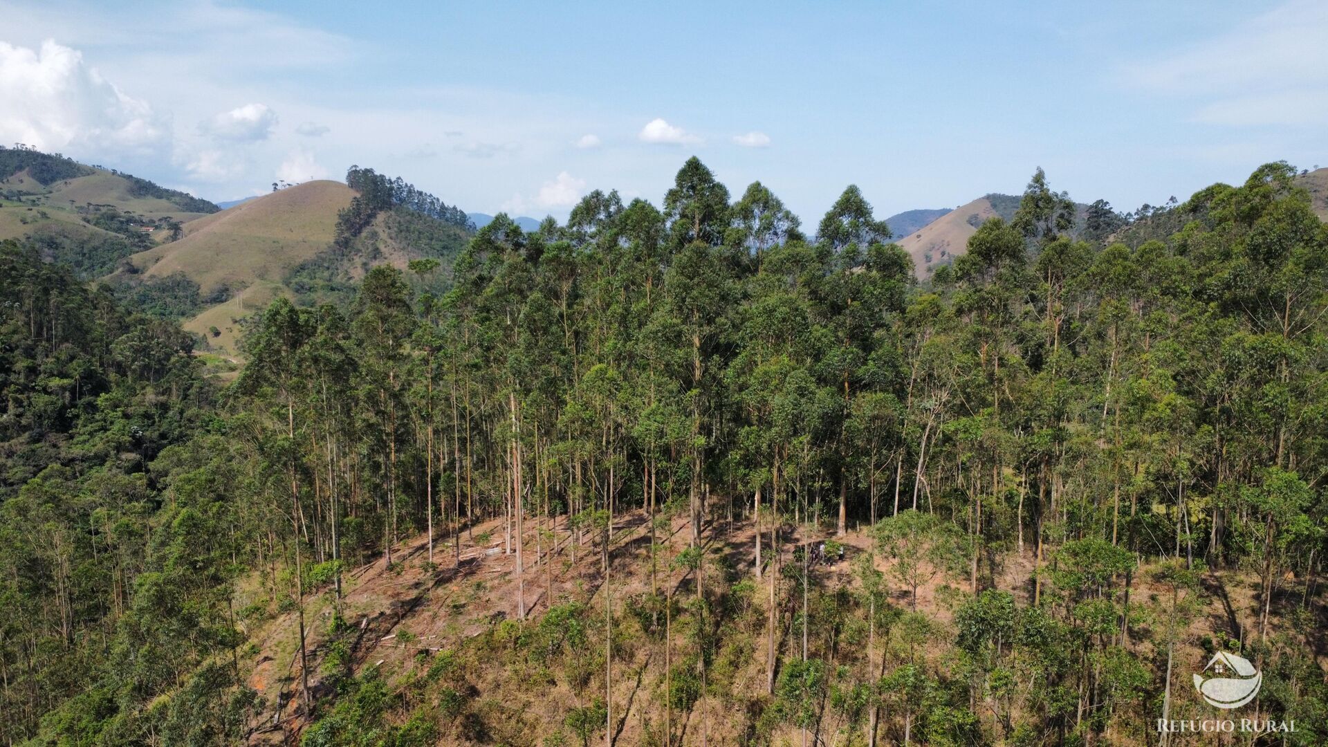 Fazenda à venda com 3 quartos, 20000m² - Foto 5