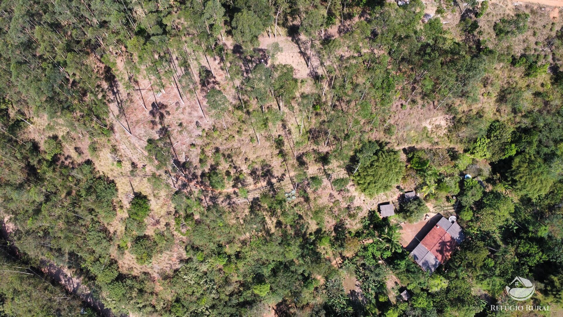 Fazenda à venda com 3 quartos, 20000m² - Foto 35