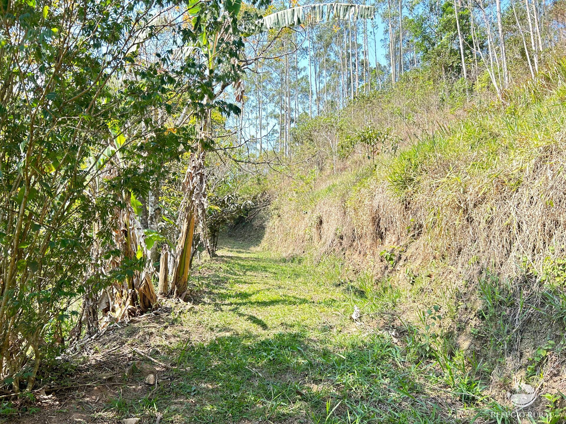 Fazenda à venda com 3 quartos, 20000m² - Foto 22