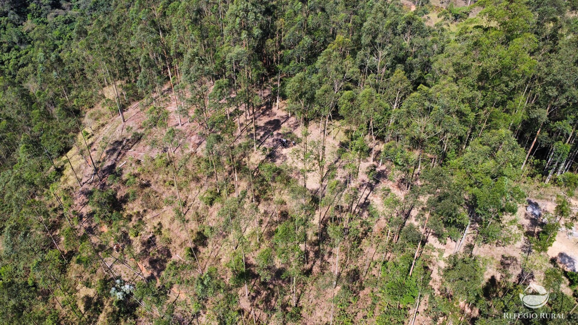 Fazenda à venda com 3 quartos, 20000m² - Foto 47