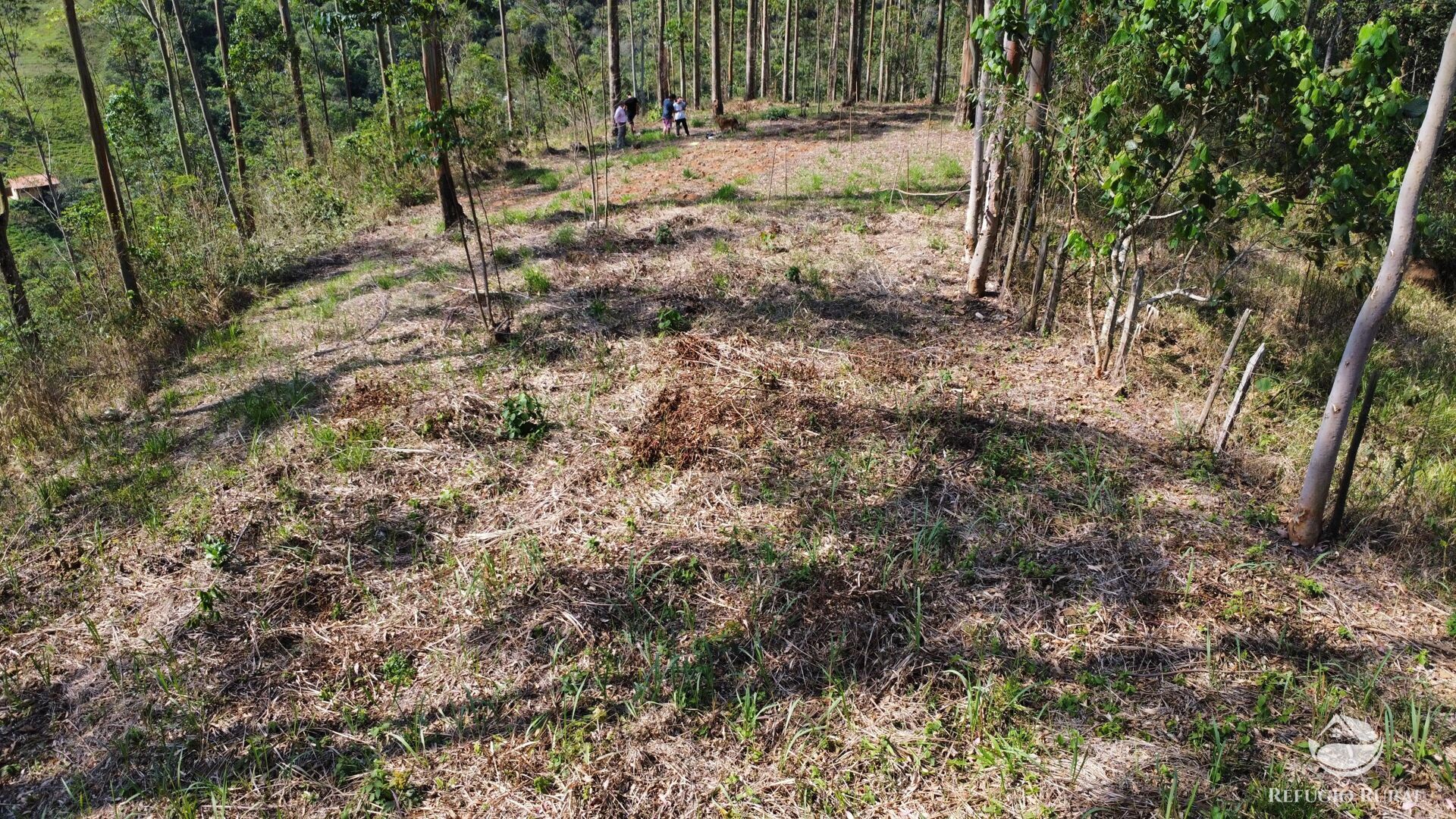 Fazenda à venda com 3 quartos, 20000m² - Foto 12