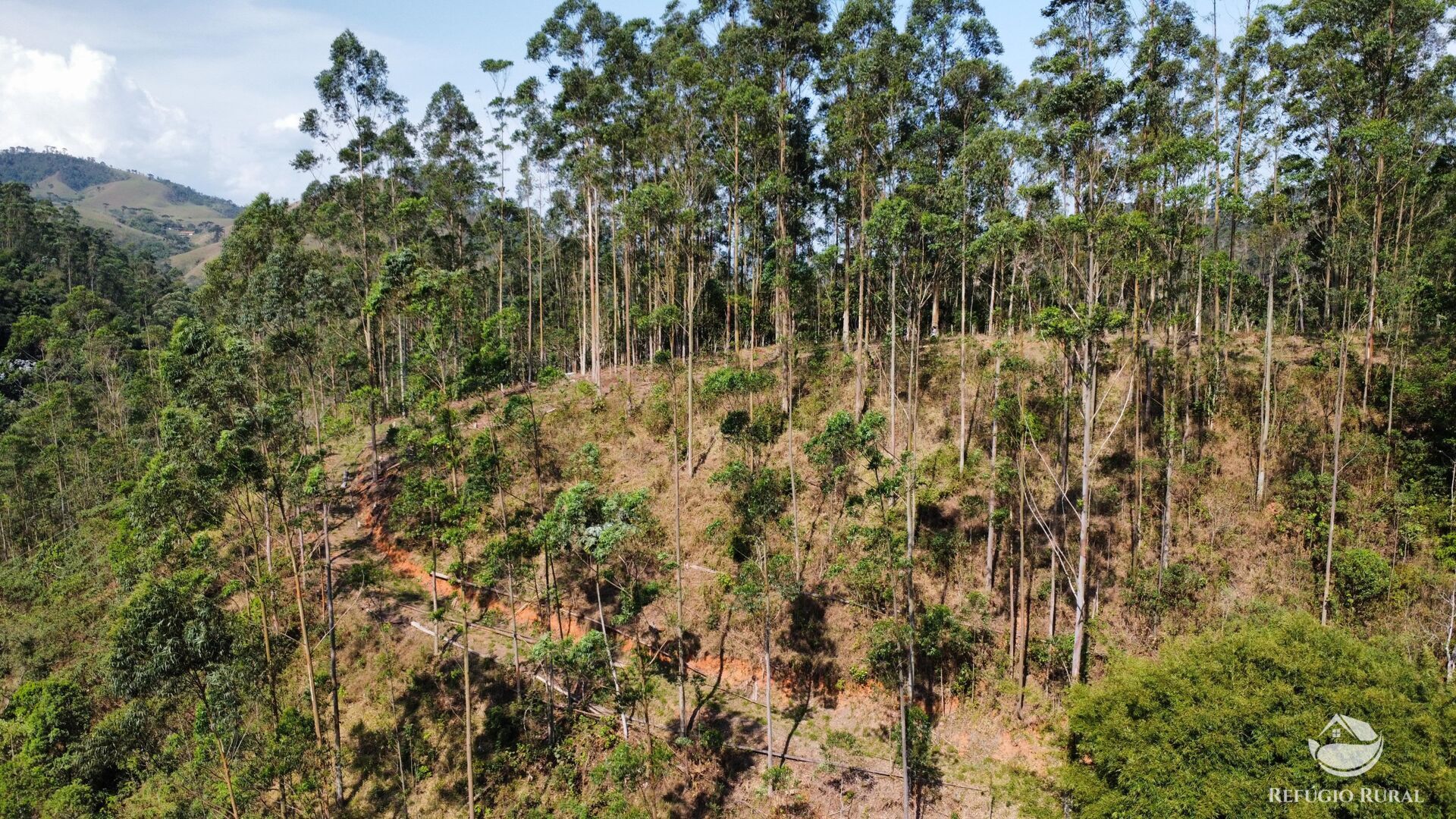 Fazenda à venda com 3 quartos, 20000m² - Foto 33