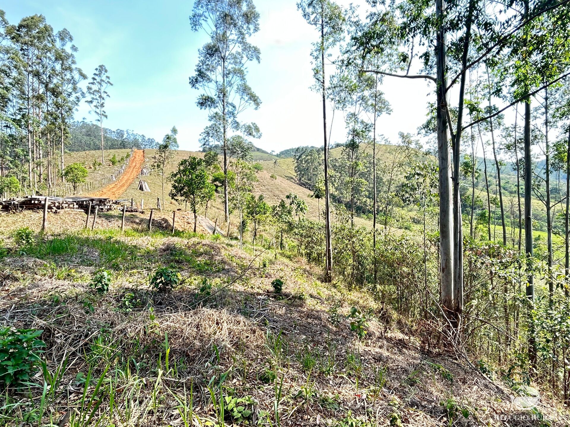 Fazenda à venda com 3 quartos, 20000m² - Foto 29