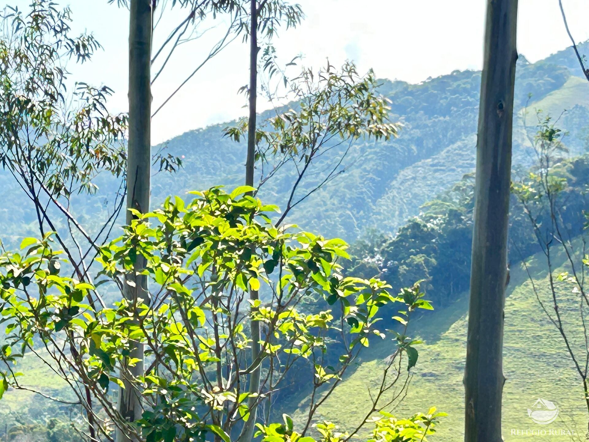 Fazenda à venda com 3 quartos, 20000m² - Foto 27