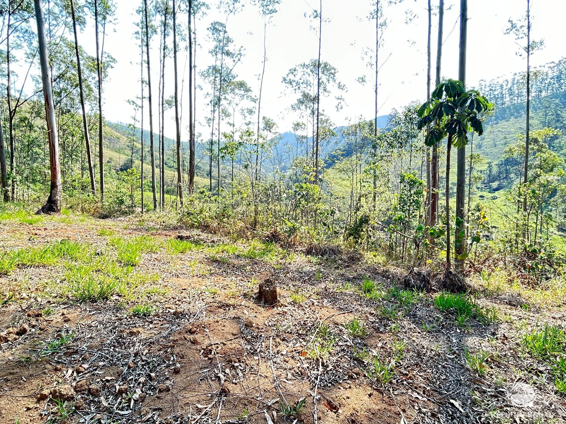 Fazenda à venda com 3 quartos, 20000m² - Foto 45