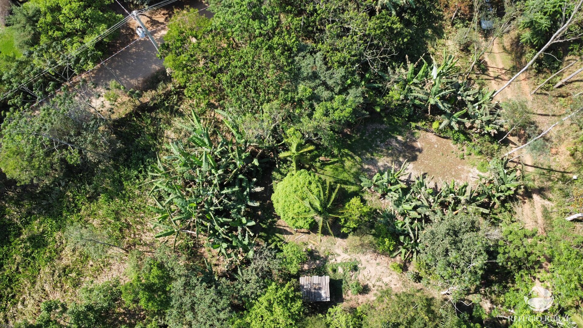 Fazenda à venda com 3 quartos, 20000m² - Foto 34