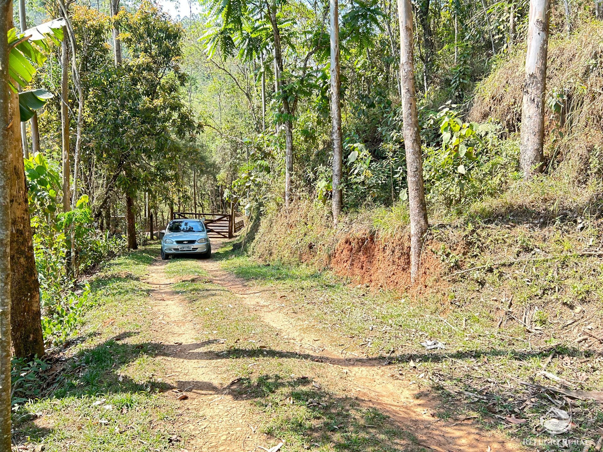 Fazenda à venda com 3 quartos, 20000m² - Foto 6