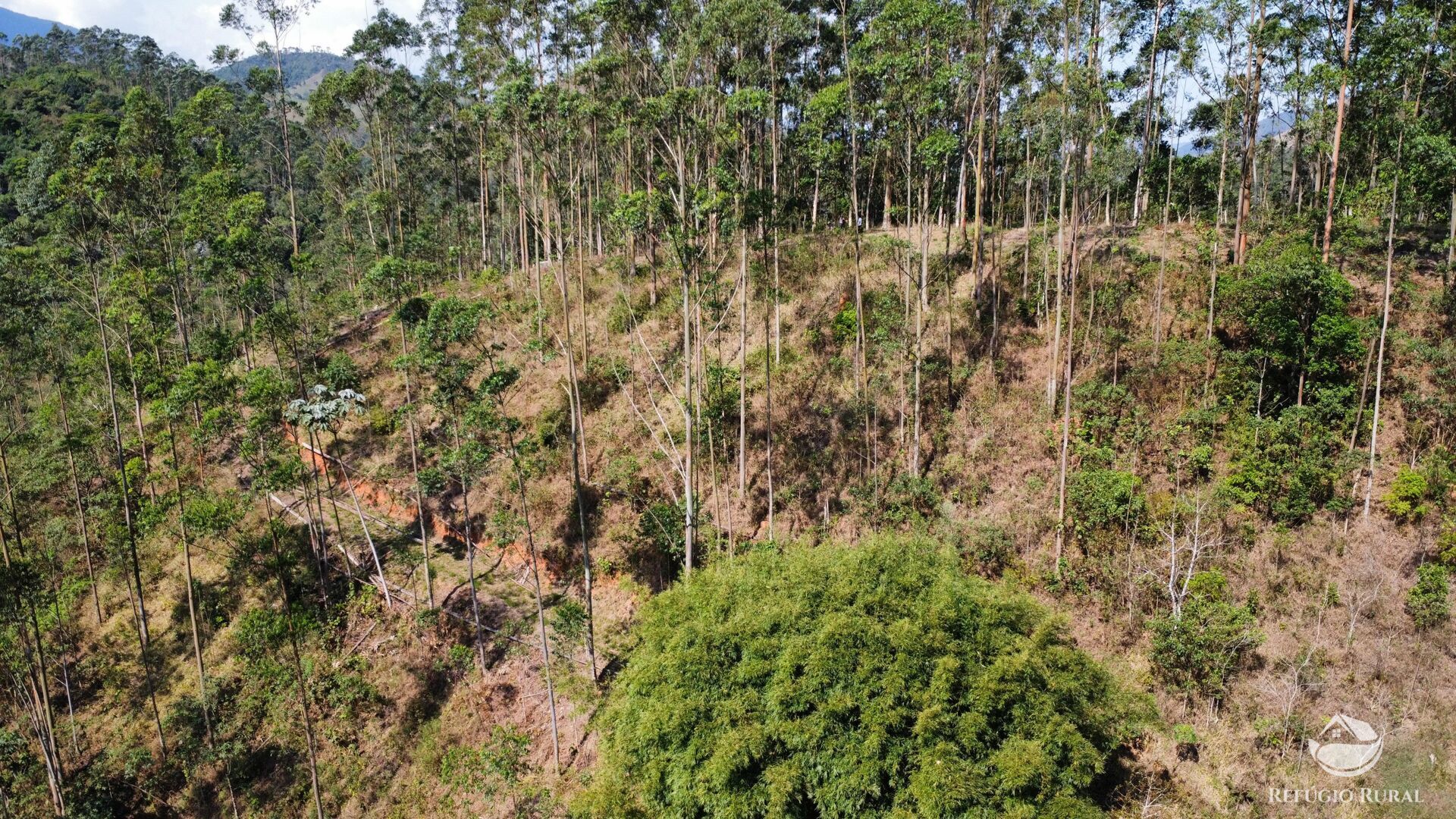 Fazenda à venda com 3 quartos, 20000m² - Foto 32