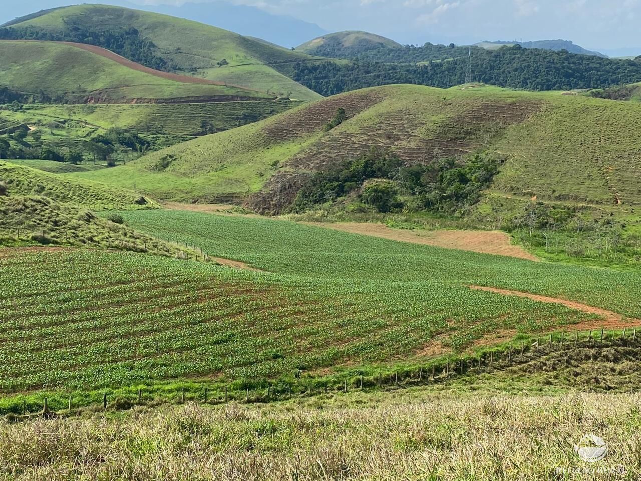 Fazenda à venda com 14 quartos, 923800m² - Foto 2