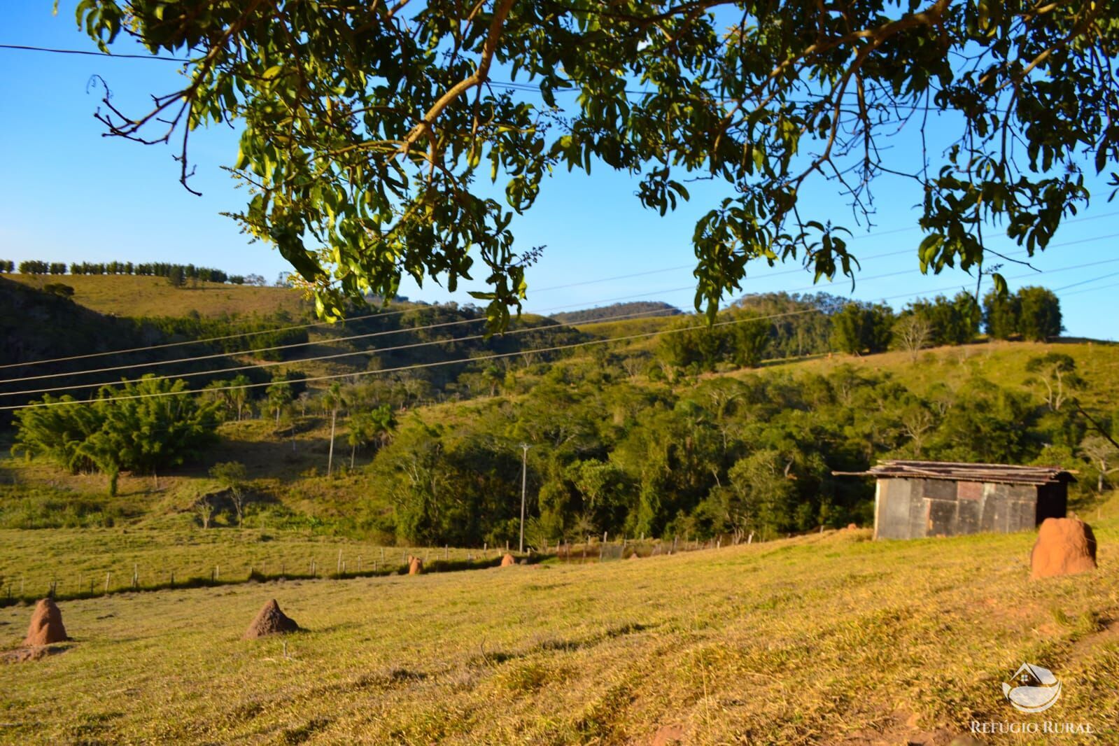 Fazenda à venda com 3 quartos, 84700m² - Foto 7