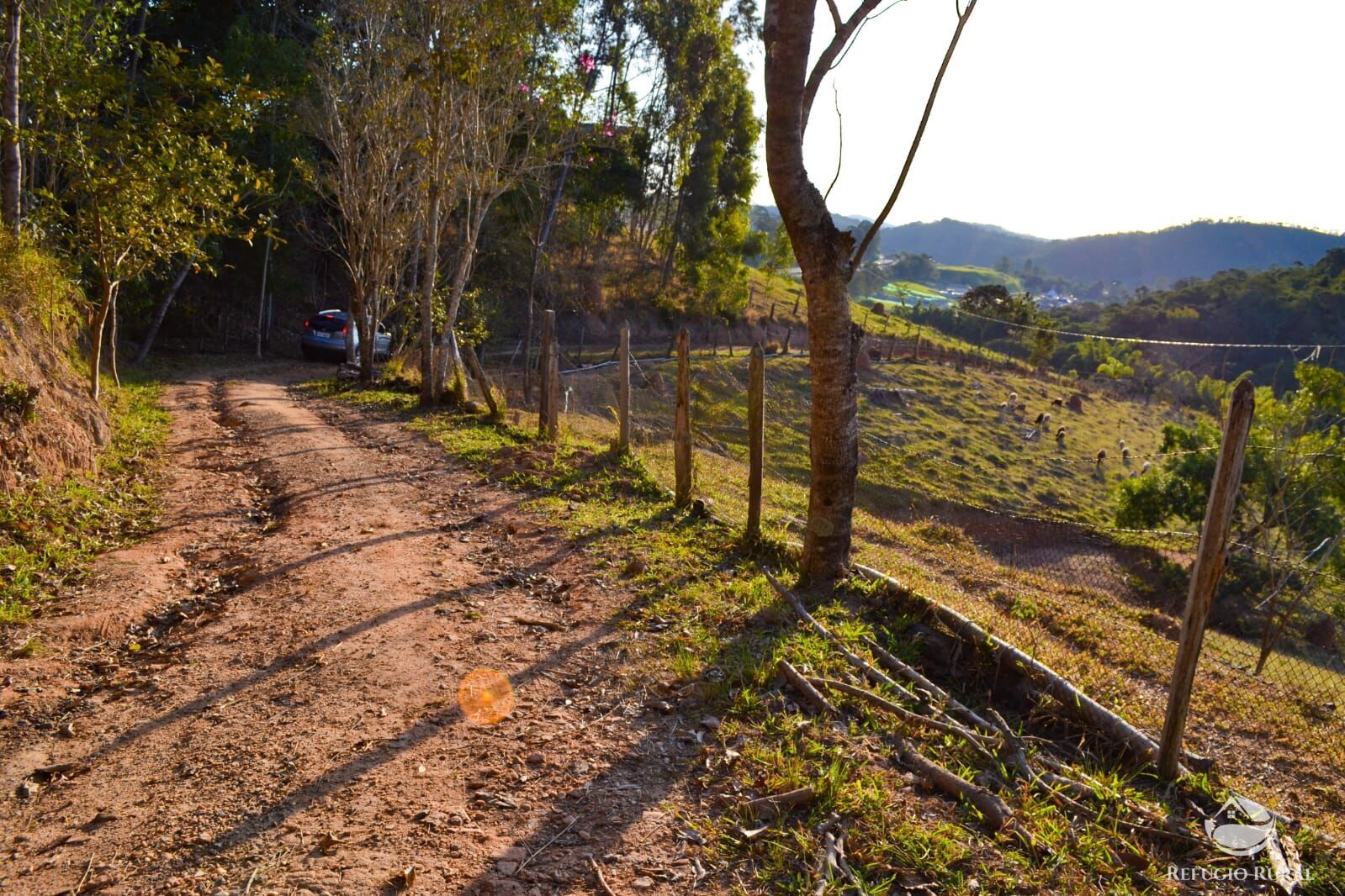 Fazenda à venda com 3 quartos, 84700m² - Foto 31