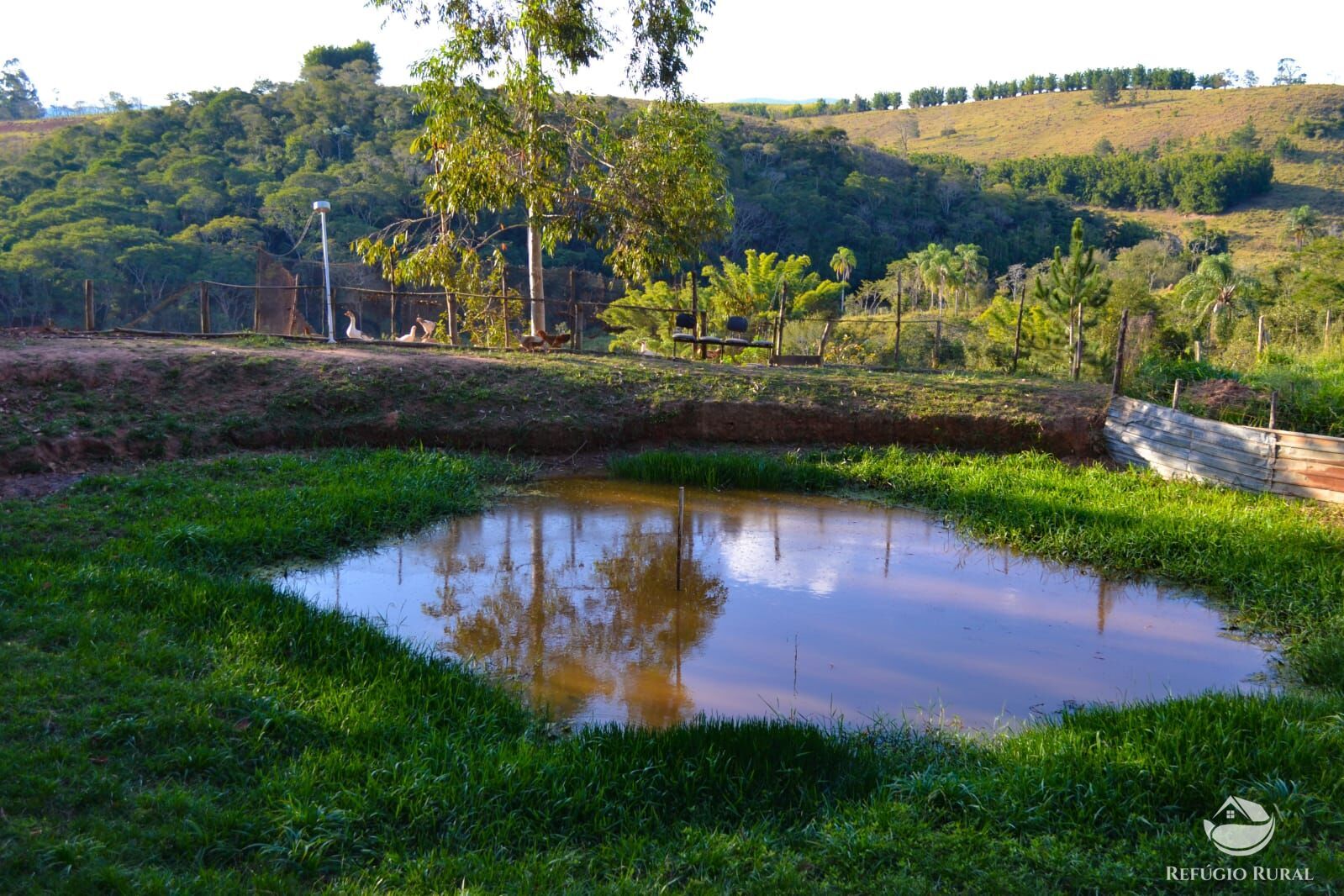 Fazenda à venda com 3 quartos, 84700m² - Foto 4