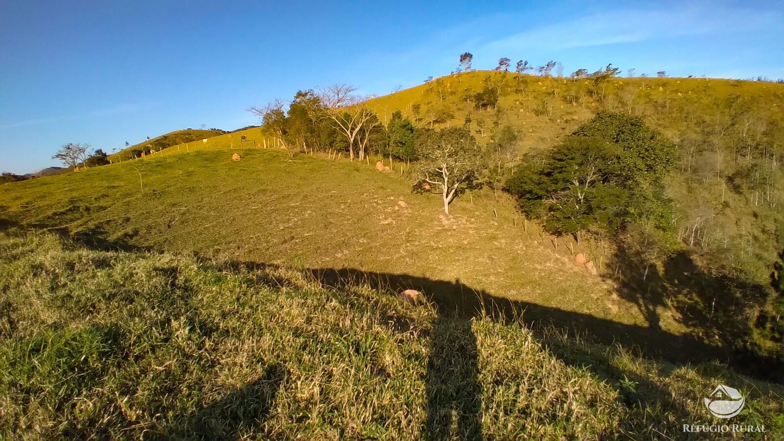 Fazenda à venda com 3 quartos, 84700m² - Foto 15