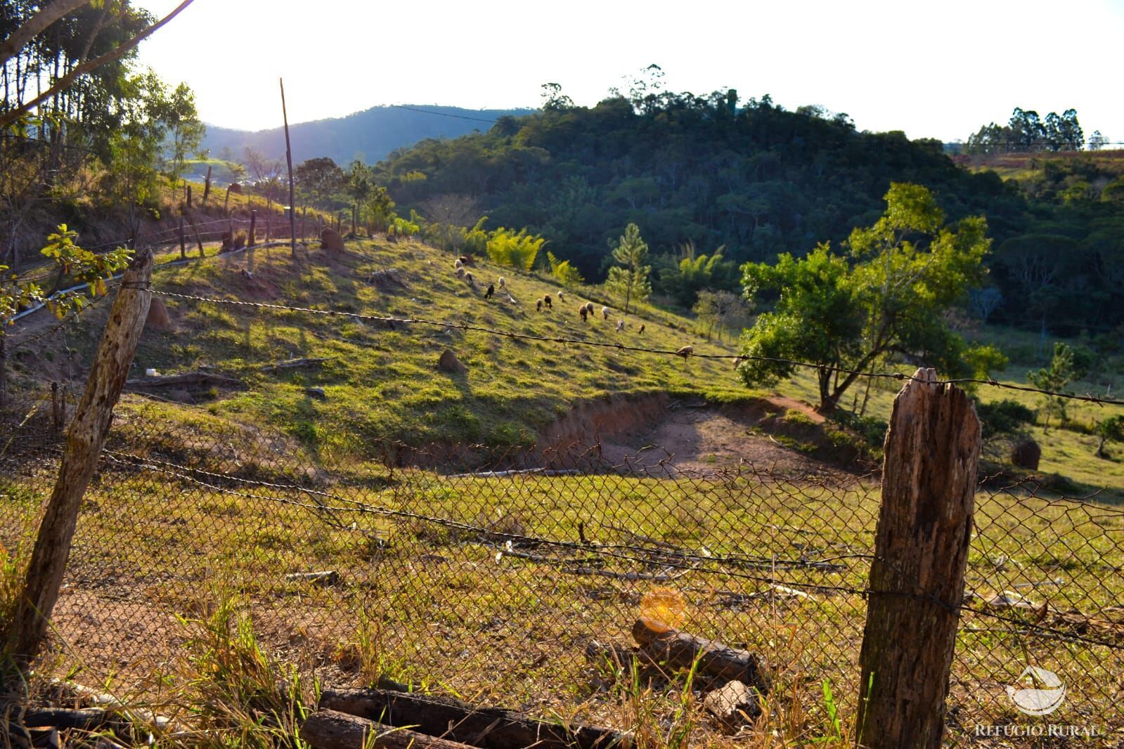 Fazenda à venda com 3 quartos, 84700m² - Foto 32