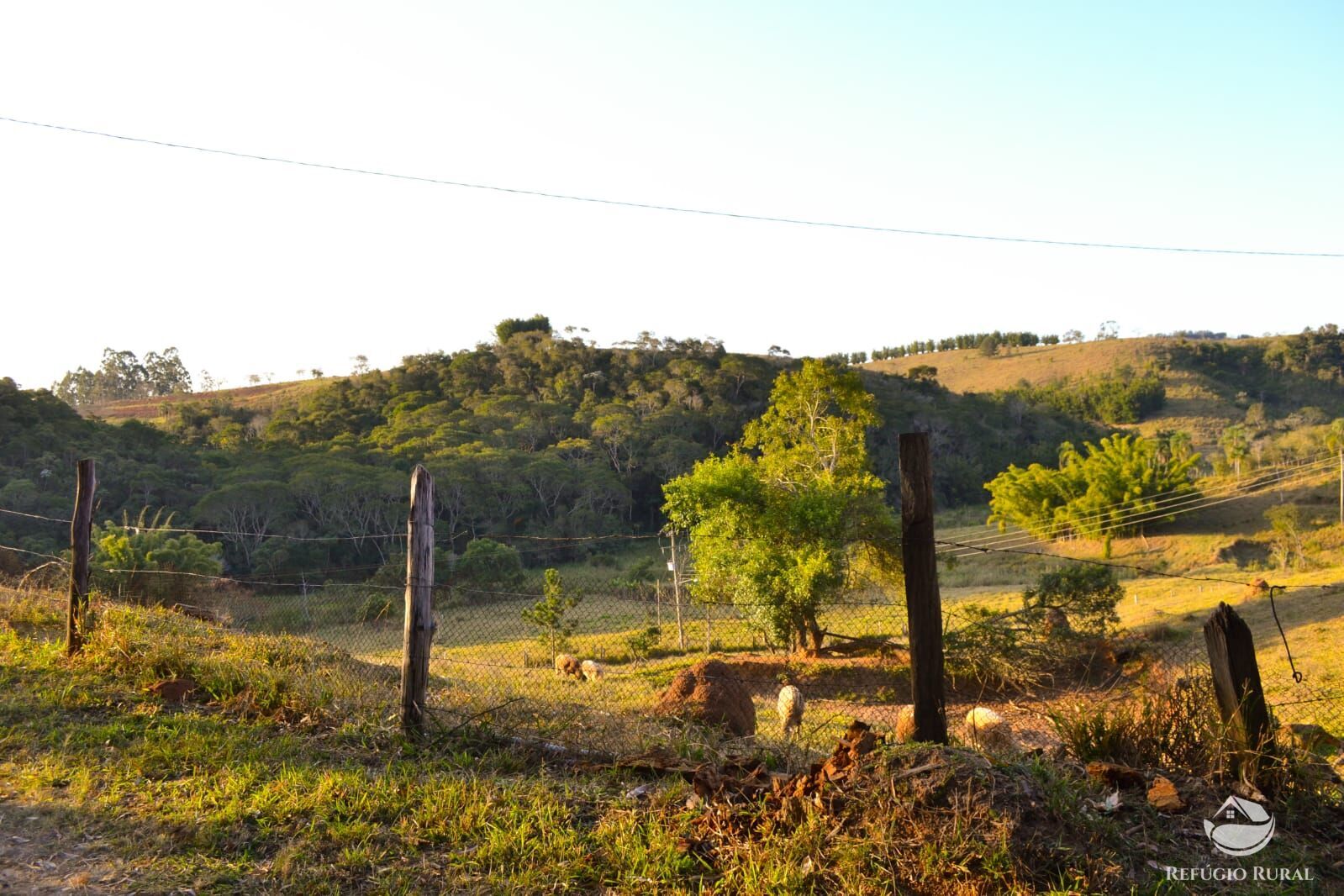 Fazenda à venda com 3 quartos, 84700m² - Foto 19