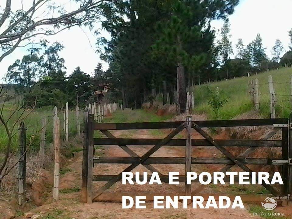 Fazenda à venda com 3 quartos, 84700m² - Foto 44