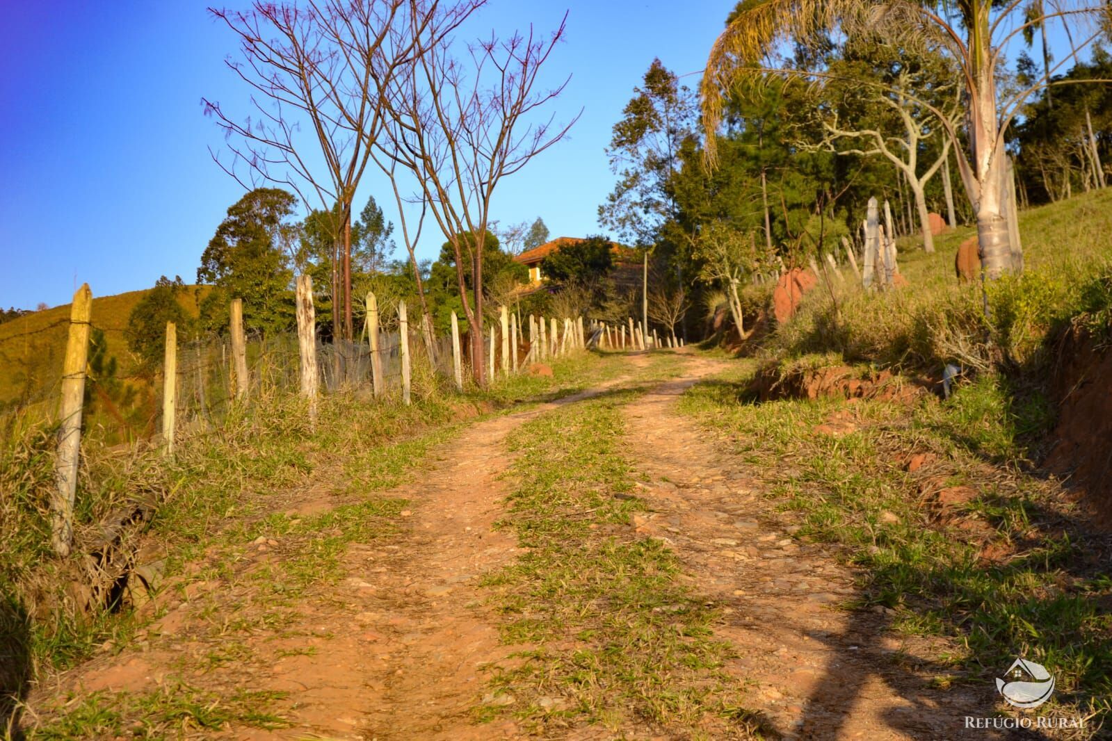 Fazenda à venda com 3 quartos, 84700m² - Foto 34