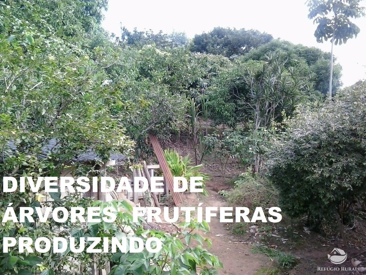 Fazenda à venda com 3 quartos, 84700m² - Foto 45