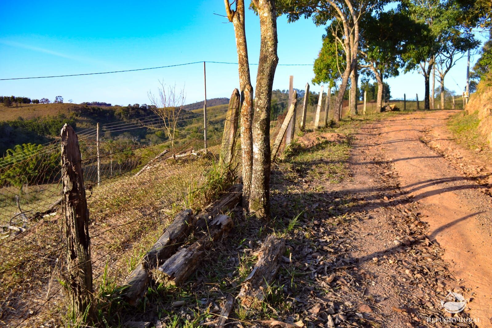 Fazenda à venda com 3 quartos, 84700m² - Foto 33