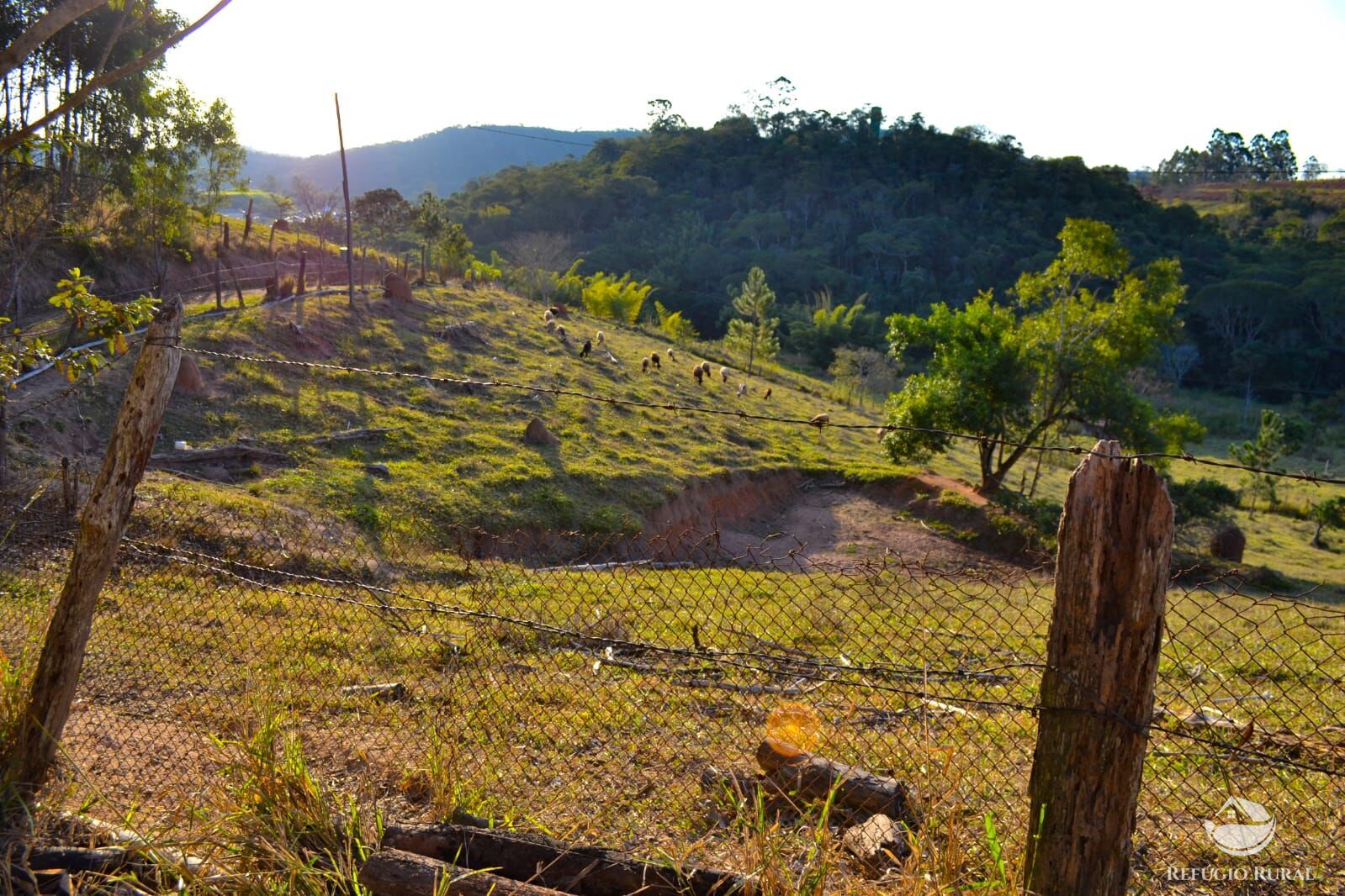 Fazenda à venda com 3 quartos, 84700m² - Foto 17