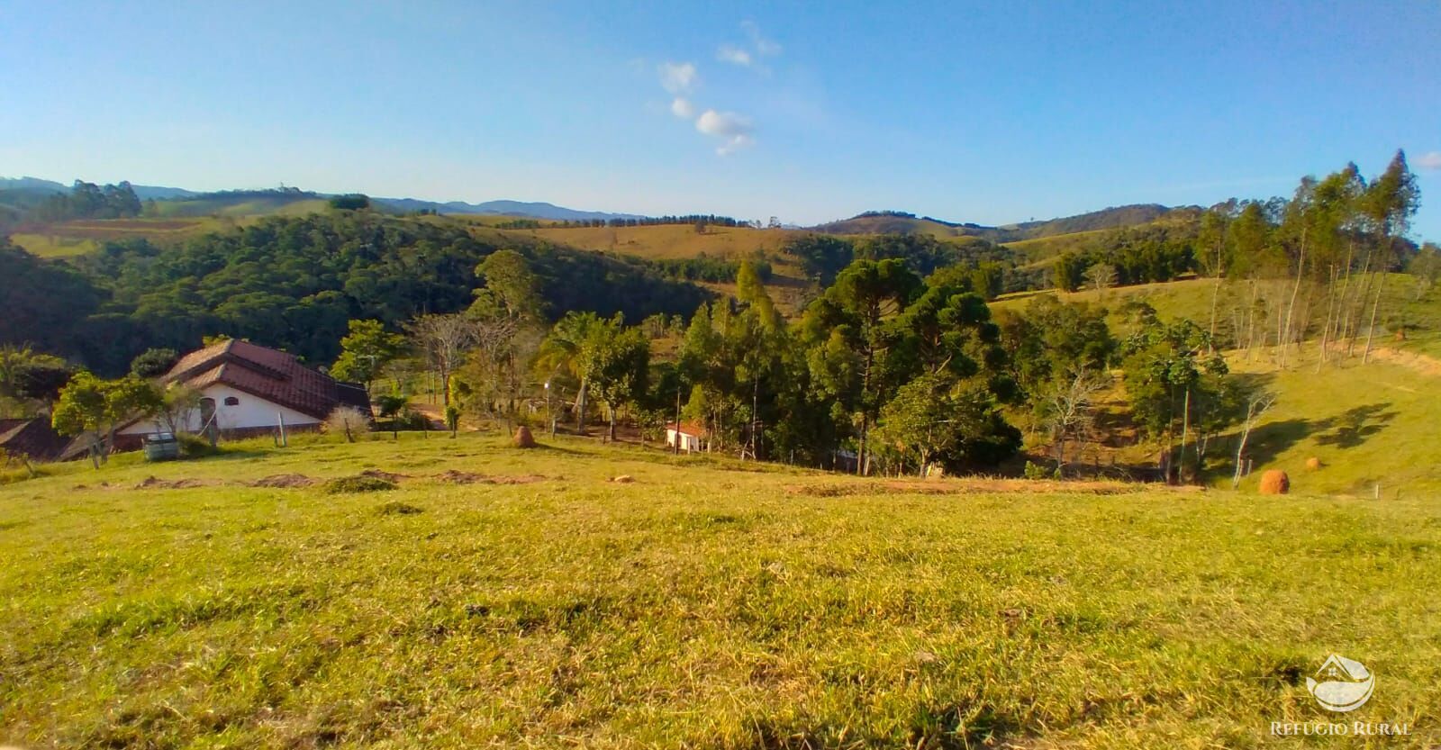 Fazenda à venda com 3 quartos, 84700m² - Foto 6