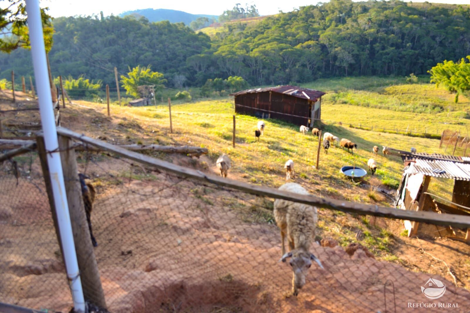 Fazenda à venda com 3 quartos, 84700m² - Foto 16