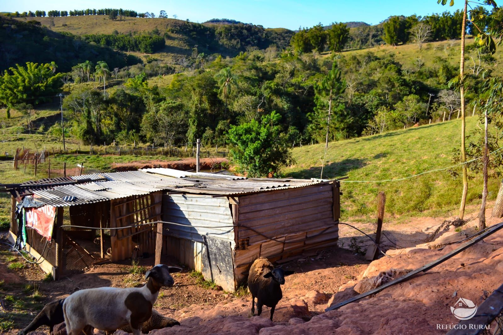 Fazenda à venda com 3 quartos, 84700m² - Foto 29