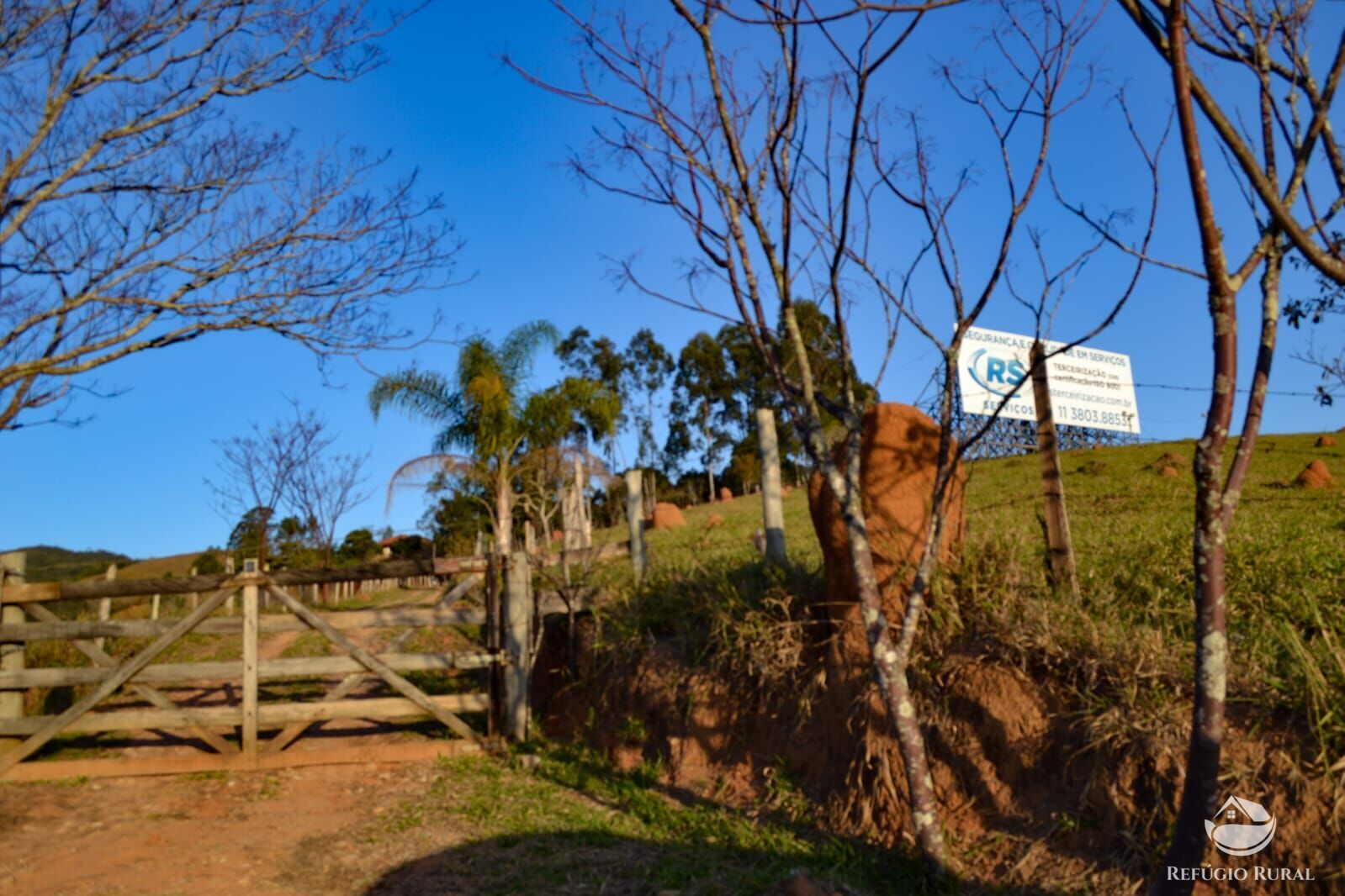 Fazenda à venda com 3 quartos, 84700m² - Foto 35