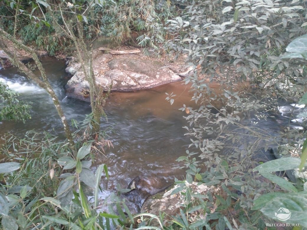 Fazenda à venda com 1 quarto, 1500m² - Foto 6