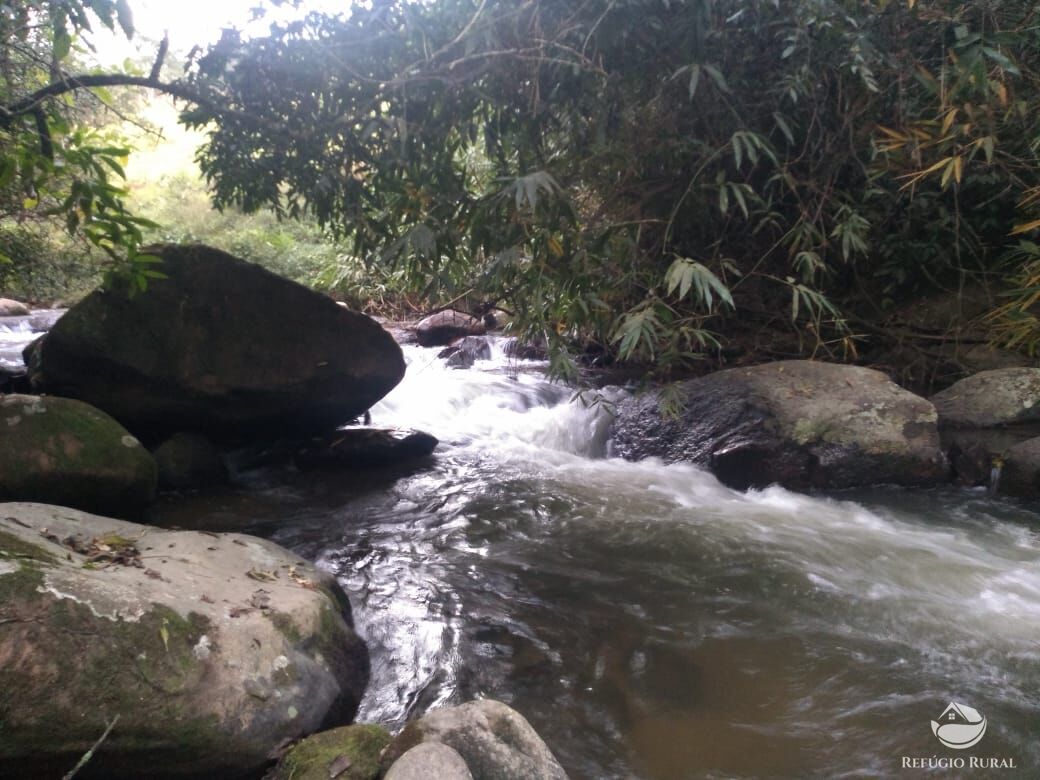 Fazenda à venda com 1 quarto, 1500m² - Foto 2